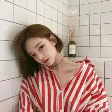 南拳王